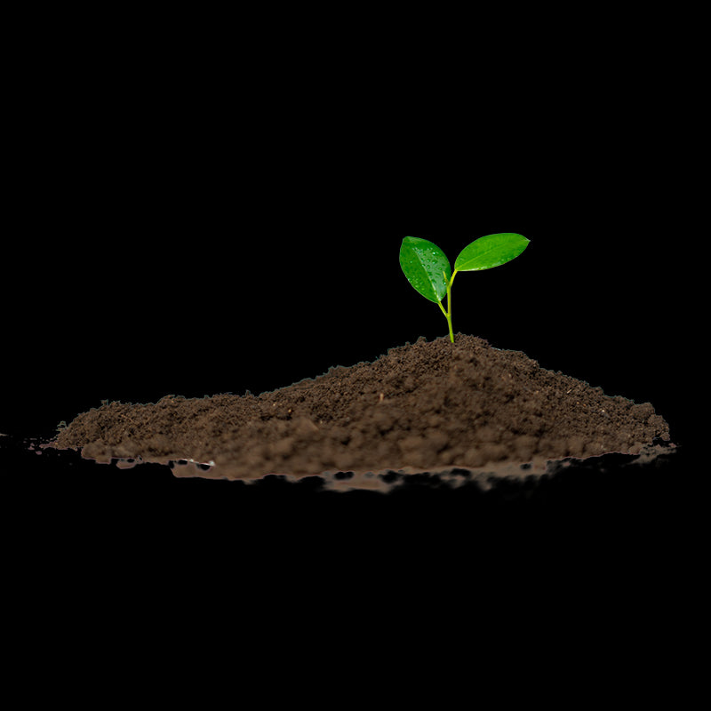 Semi, Concimi e Fertilizzanti