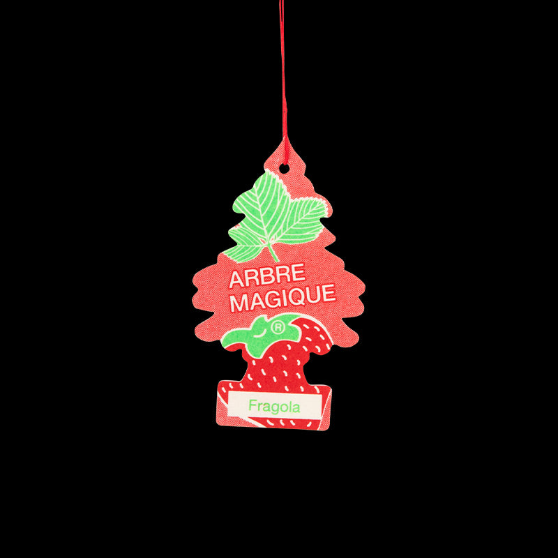 Accessori e decorazioni auto