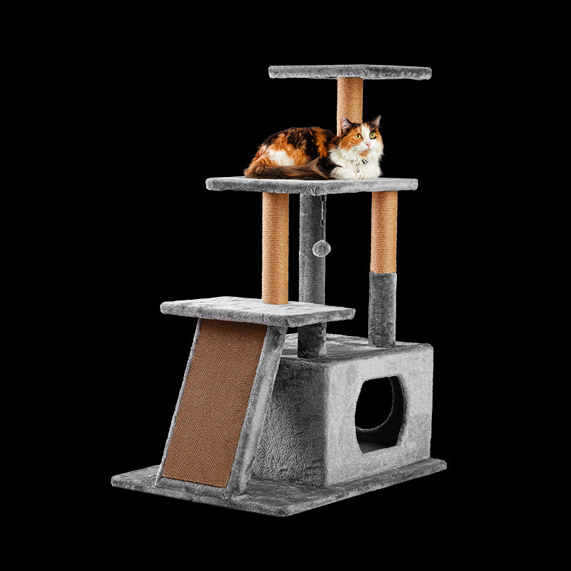 Casette e tiragraffi per gatti