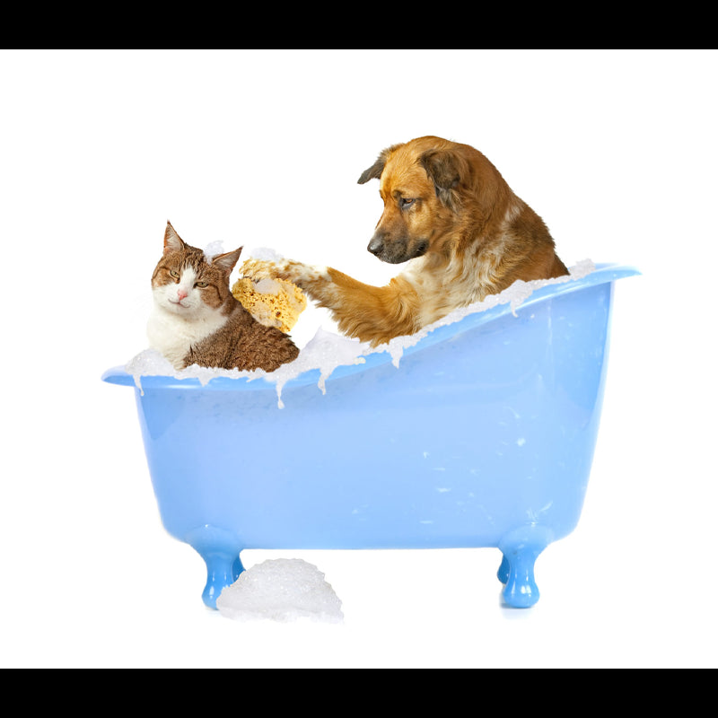 Cura e igiene per gli animali