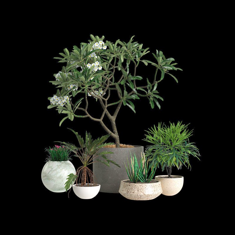 Fiori e piante artificiali