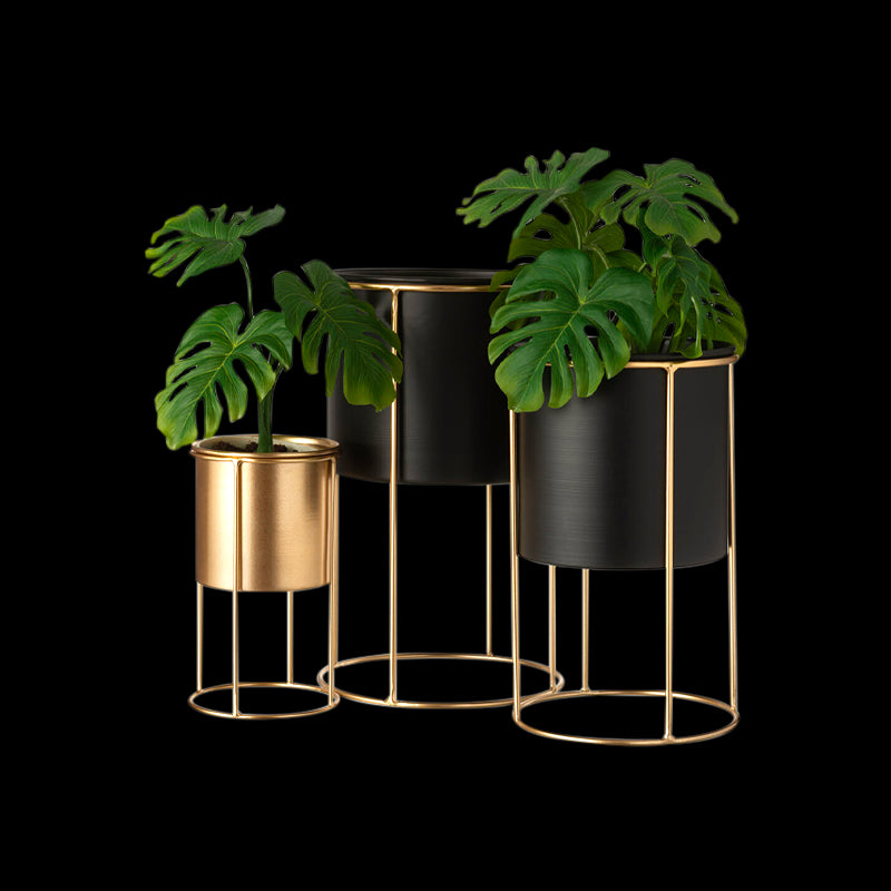 Vasi e portavasi da interno