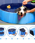 immagine-4-wintem-piscina-per-cani-e-gatti-kolam-160x30-cm-ean-8052286430837