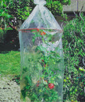 immagine-5-wenko-set-2-federe-serra-traspiranti-per-coltivazione-pomodori-ean-4008838805060