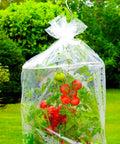 immagine-6-wenko-set-2-federe-serra-traspiranti-per-coltivazione-pomodori-ean-4008838805060