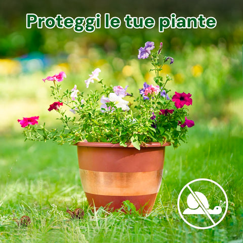 Nastro Anti Lumache Per Piante E Verdure 4m