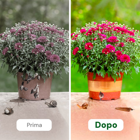 Nastro Anti Lumache Per Piante E Verdure 4m