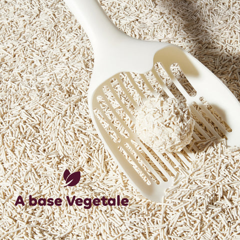 Substrato Assorbente Vegetale 6L - Sabbietta per Lettiera Gatto 4+2 Omaggio