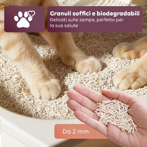 Substrato Assorbente Vegetale 6L - Sabbietta per Lettiera Gatto 4+2 Omaggio