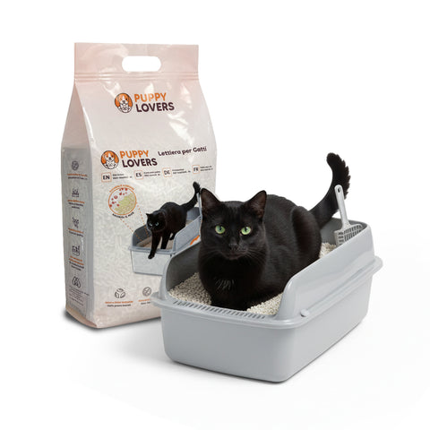 Substrato Assorbente Vegetale 6L - Sabbietta per Lettiera Gatto 4+2 Omaggio