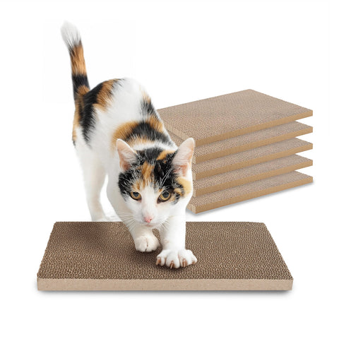 Set 5 Tiragraffi per Gatti Bifacciale in Cartone Ondulato
