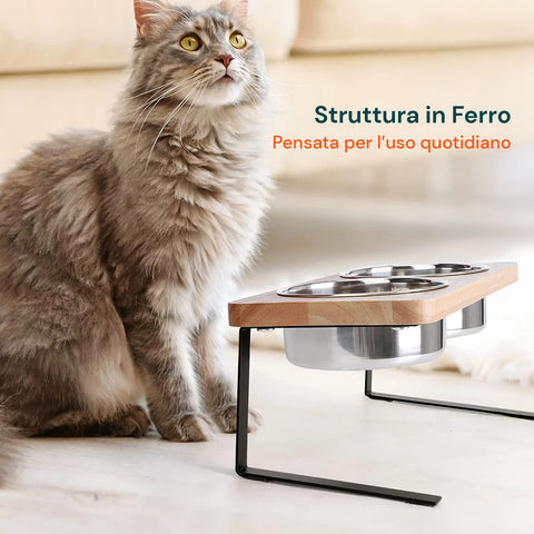 Set 2 Ciotole Acciaio Inox 250ml con Struttura Rialzata Antistress