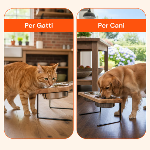 Set 2 Ciotole Acciaio Inox 250ml con Struttura Rialzata Antistress