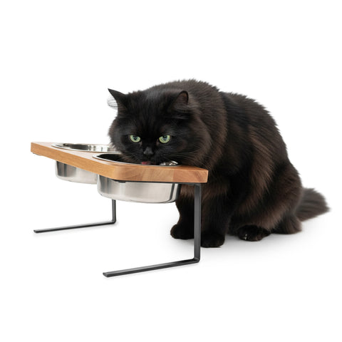 Set 2 Ciotole Acciaio Inox 250ml con Struttura Rialzata Antistress