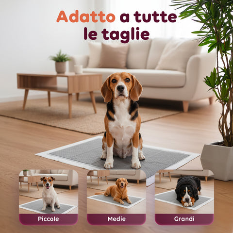 Tappetini Igienici al Carbone Attivo 60×60 – Set 50/300 Pezzi con Adesivi e Anti-Odore