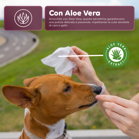 Salviette Pets 40 / 480 pz con Aloe – Detergenti e Deodoranti per Uso Quotidiano
