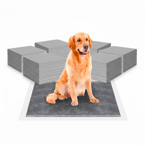 Tappetini Igienici al Carbone Attivo 60×90 – Set 30-180 Pezzi con Adesivi e Anti-Odore