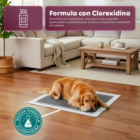 Tappetini Igienici al Carbone Attivo 60×60 – Set 50/300 Pezzi con Adesivi e Anti-Odore