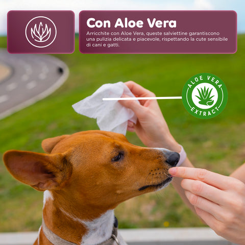 Salviette Pets 40 / 480 pz con Aloe – Detergenti e Deodoranti per Uso Quotidiano