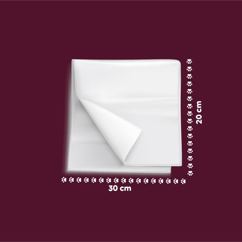 Salviette Pets 40 / 480 pz con Aloe – Detergenti e Deodoranti per Uso Quotidiano