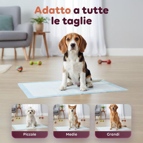 Tappetini Igienici Traversine al Carbone Attivo o Essential 60×90 – Set Vari Formati con Adesivi