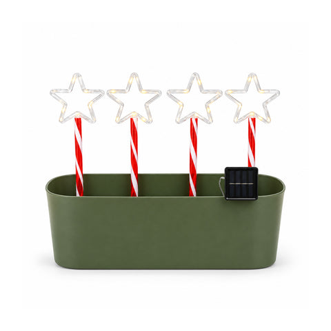 Stelle Luminose Solari da Giardino, 4 Picchetti con 36 Mini LED