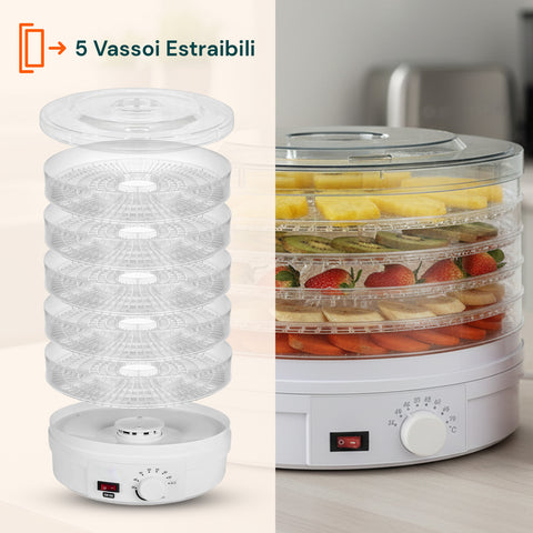 Mini Essiccatore Elettrico per Cibo – 5 Scomparti e Coperchio Trasparente