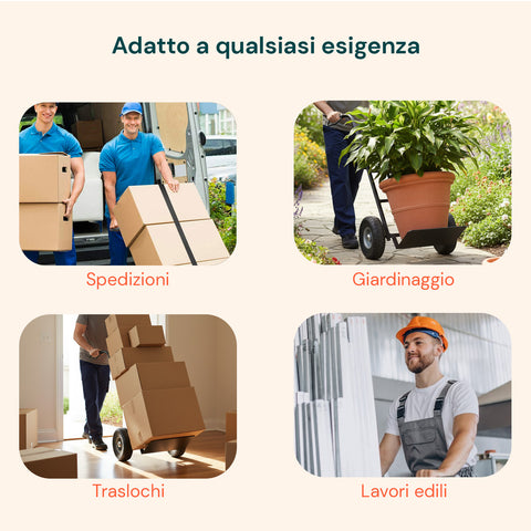 Carrello da Carico 250 kg in Acciaio Nero con Ruote Pneumatiche Resistenti