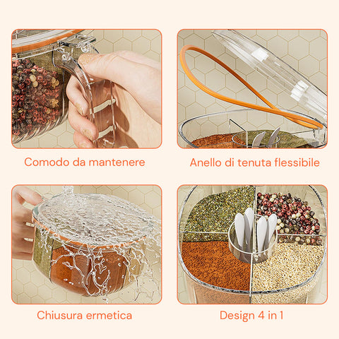 Organizer Spezie da Cucina 4 Scomparti con Coperchio e Cucchiaini