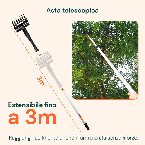 Scuotitore per Olive con Motore 400W e Rastrello in ABS Antibloccaggio