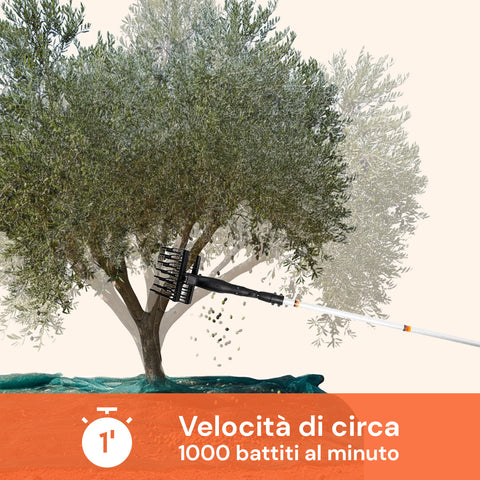 Scuotitore per Olive con Motore 400W e Rastrello in ABS Antibloccaggio