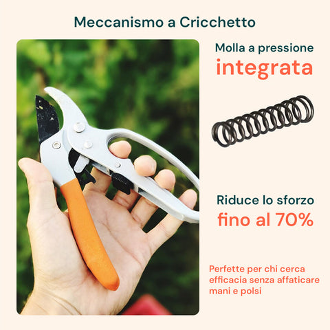 Forbici Da Giardino Con Lame In Acciaio Al Carbonio