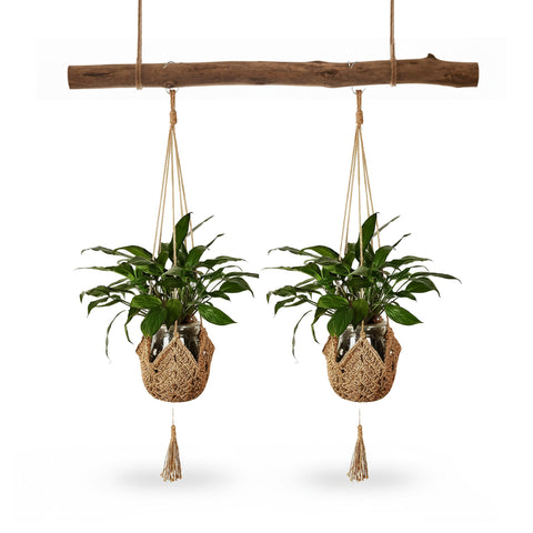 avilia set 2 portavasi in macrame intrecciato a mano con ganci a s ean 8056819053371