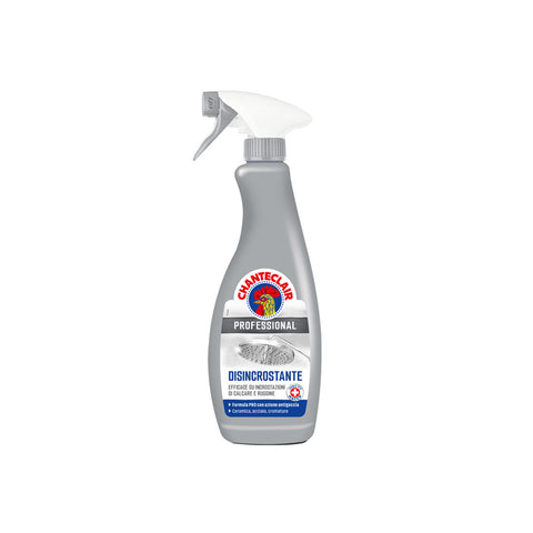 immagine-1-chanteclair-spray-disincrostante-forte-per-superfici-dure-700ml-ean-8015194526184