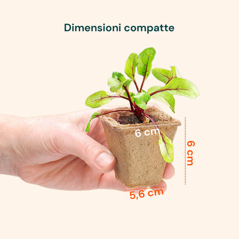 zendea vasetti in torba biodegradabili per semina e trapianto set 120 pezzi ean 8050030810546