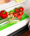 immagine-4-wintem-tappetino-frigo-antimuffa-50x30cm-ean-8050043124449