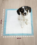 puppy lovers tappetini igienici essential 6090 set vari formati con adesivi ean 8054806950870