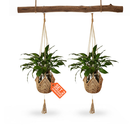 avilia set 2 portavasi in macrame intrecciato a mano con ganci a s ean 8056819053371