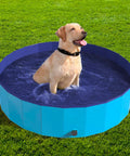 Labrador felice in piscina per cani 120x30cm - Divertimento estivo sicuro in giardino con vinile resistente