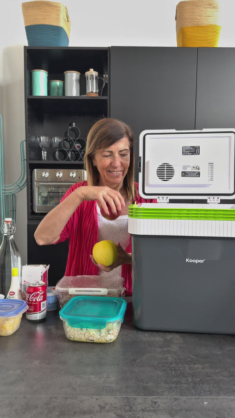 Termofrigo Frigorifero Portatile 24L Caldo/Freddo con Presa Auto Cavi Inclusi