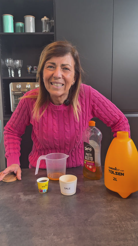 Spruzzatore a Pressione Pompa Irroratrice Manuale 2L con Ugello in Ottone per Giardino, Fertilizzanti e Nebulizzazione Ean-6933528757238