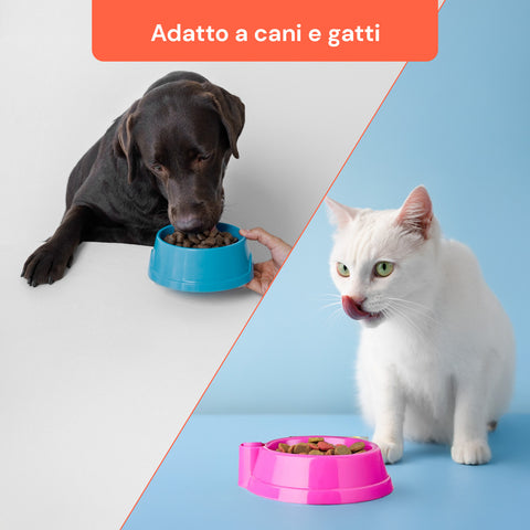 Set Pulizia Ciotole per Animali con Spazzola Gatto e Spugna Abrasiva