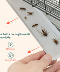 Vaschetta raccogli insetti removibile efficiente e senza odori, facile da pulire per gestione igienica degli insetti eliminati