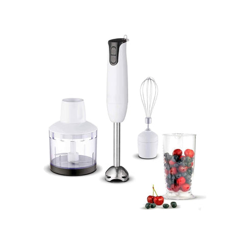 Frullatore ad Immersione con 2 Accessori 0,5L 500W