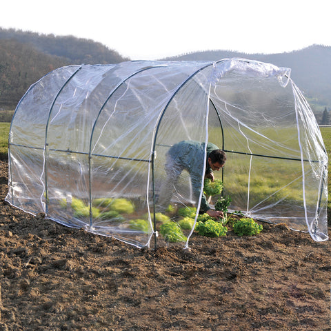 immagine-1-mondoverde-serra-da-orto-e-giardino-200x300x175cm-ean-8012526040448