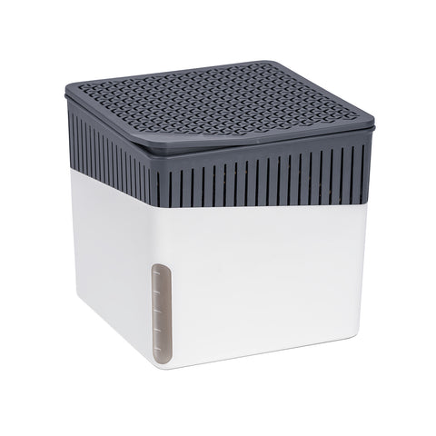 Deumidificatore Per Ambiente Bianco 1000g