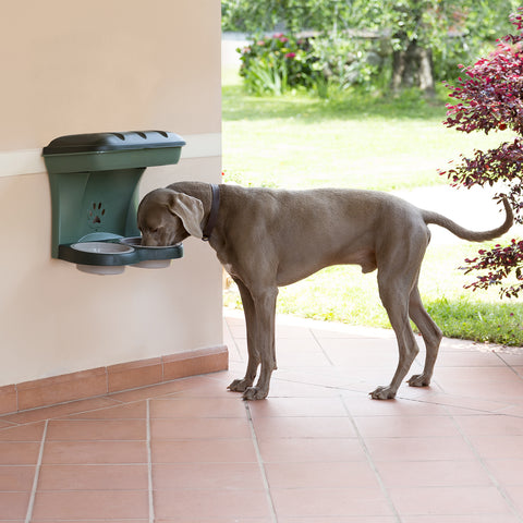 immagine-13-bama-set-2-ciotole-rialzate-food-stand-ean-8007633190407