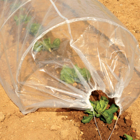 immagine-2-mondoverde-serra-da-orto-a-tunnel-miny-100x300x50cm-ean-8012526040974